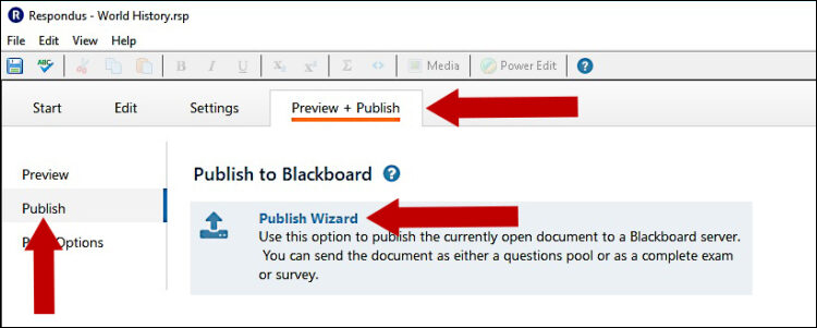 On the Preview + Publish tab, click the Publish button and use the Publish Wizard