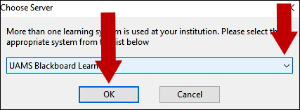 Choose UAMS Blackboard Learn 9.1 and click OK