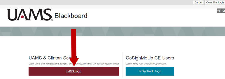 Use the red button to log in to Blackboard