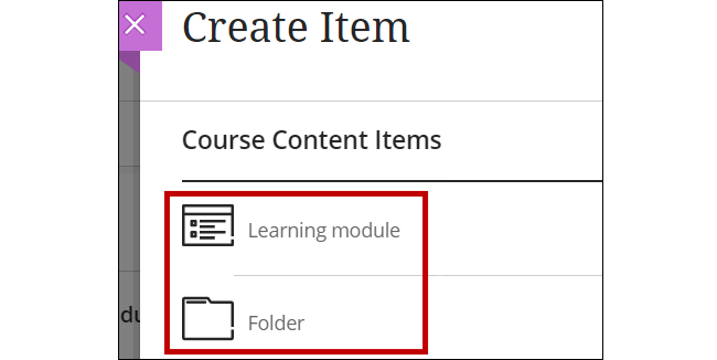 Image showing the Course Content Items: Learning module and Folder.