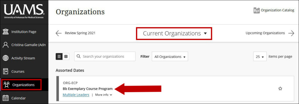 Screenshot of Organizations page in Blackboard