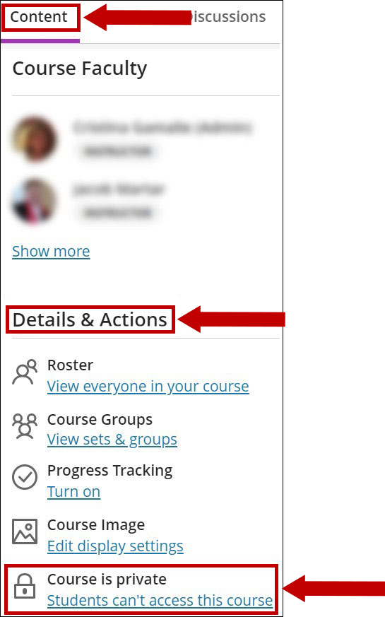 In the course menu, under Details and Actions, use the Course is private link