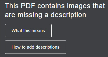 Ally provides information on what the missing description issue is and how to add image descriptions.