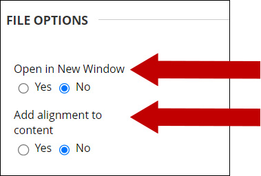 Select File options.