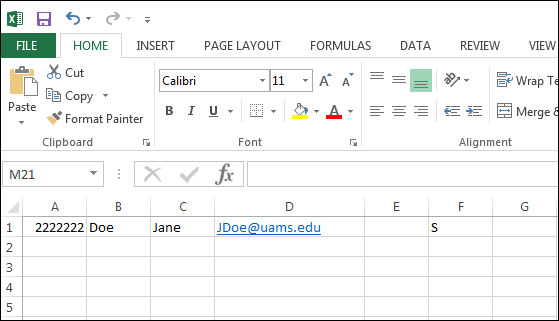 Image of the Excel Batch Enrollment file.