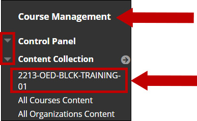 Access the Content Collection from the Course Management.