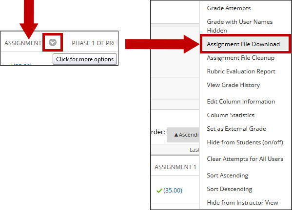 Image of an arrow pointing to assignment and a circle encompassing the Assignment menu drop-down. Image of an arrow and a circle designating the Assignment file download link.