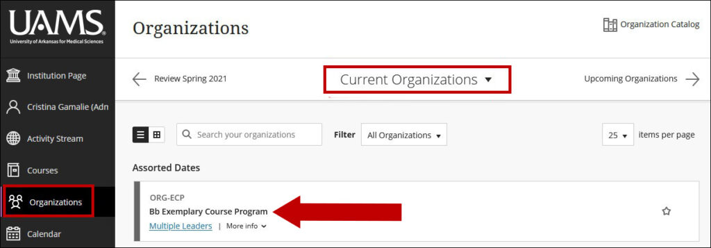 Image of Organizations page with a circle encompassing the Current Organizations filter in the upper middle of the page. An arrow points to the desired organization.