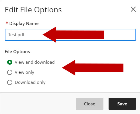 Use Edit File Options to edit the Display Name and select the File Options.