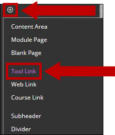 Add a Tool Link in the course menu.