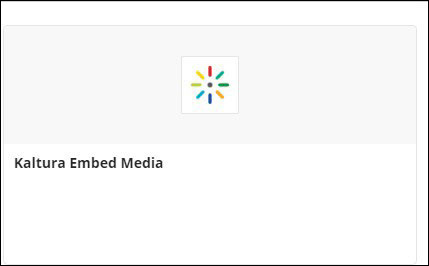 Screenshot of Kaltura Embed Media