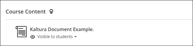 Screenshot of Kaltura document in the Course Content area.