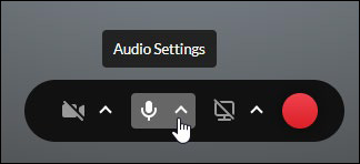 Check Audio Settings.