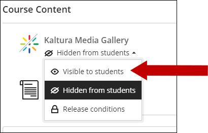 Image of Kaltura Media Gallery with arrow pointing to Visible to Students.