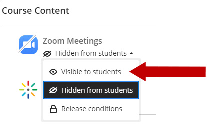 Image of Zoom Meetings with arrow pointing to Visible to Students.