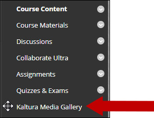 Image of course menu with the Kaltura Media Gallery showing at the bottom.