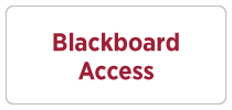 01 Blackboard Access Button