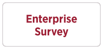 Enterprise Survey Button